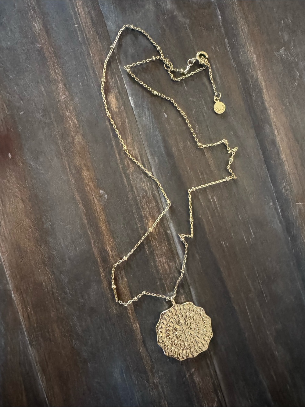 Gorjana 18k gold plated pendant necklace